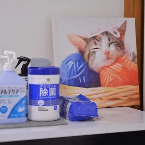 Holiday home House 101, Tokyo